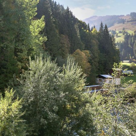 Apartment In Salzburgerland Near The Ski Area Viehhofen Exteriör bild