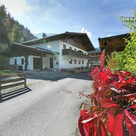 Apartment In Salzburgerland Near The Ski Area Viehhofen Exteriör bild