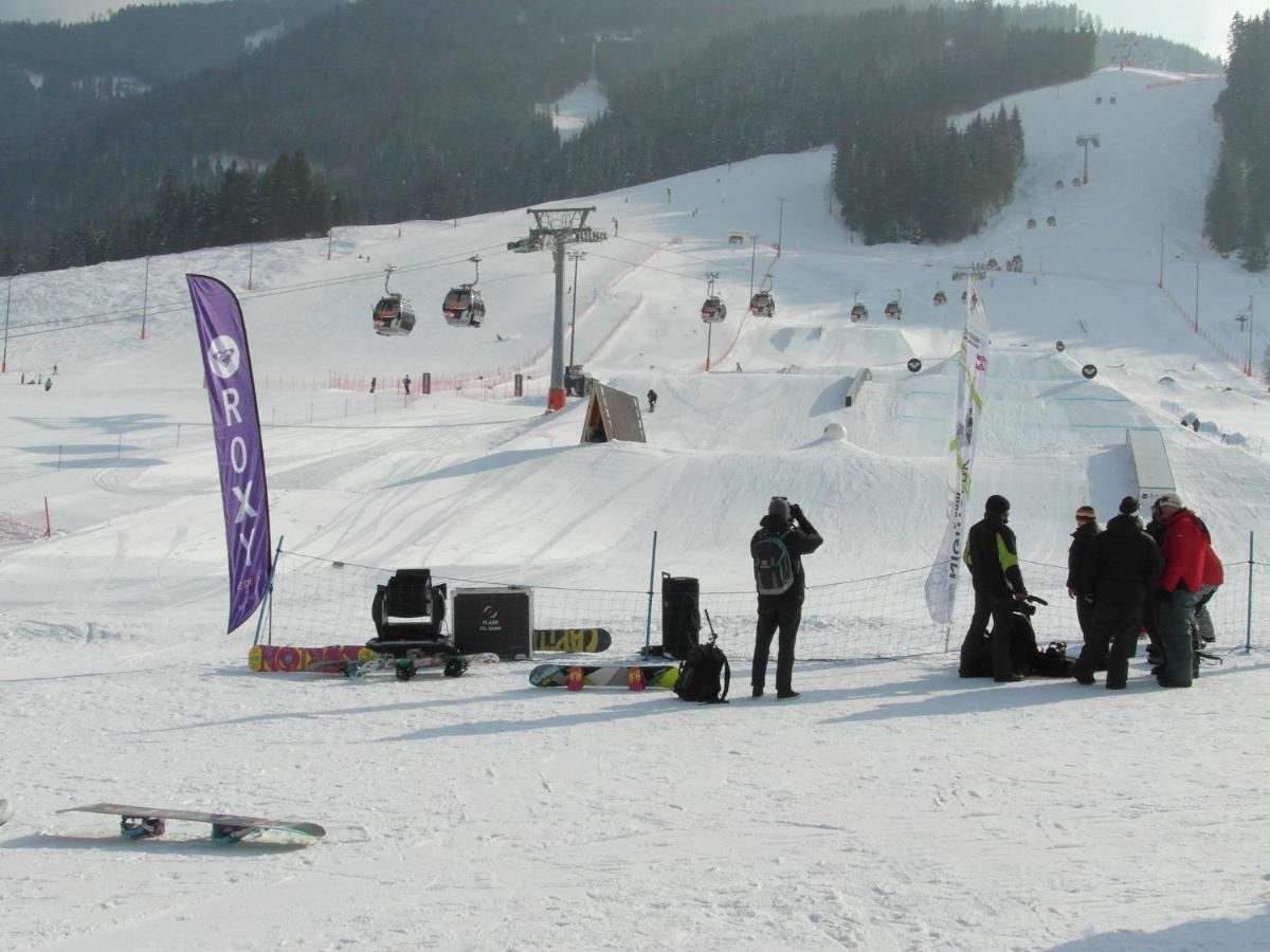 Apartment In Salzburgerland Near The Ski Area Viehhofen Exteriör bild