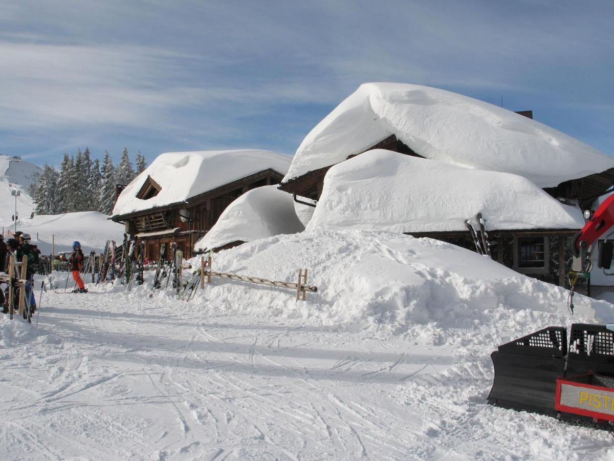 Apartment In Salzburgerland Near The Ski Area Viehhofen Exteriör bild