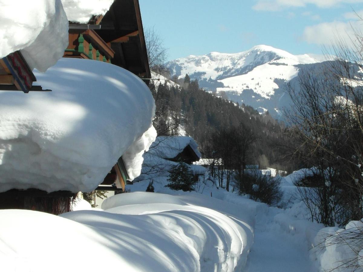 Apartment In Salzburgerland Near The Ski Area Viehhofen Exteriör bild