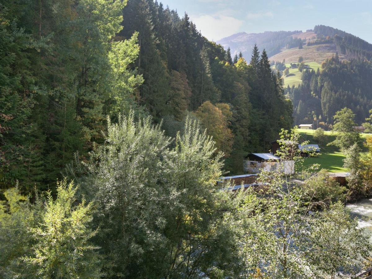 Apartment In Salzburgerland Near The Ski Area Viehhofen Exteriör bild