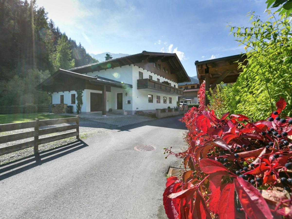 Apartment In Salzburgerland Near The Ski Area Viehhofen Exteriör bild