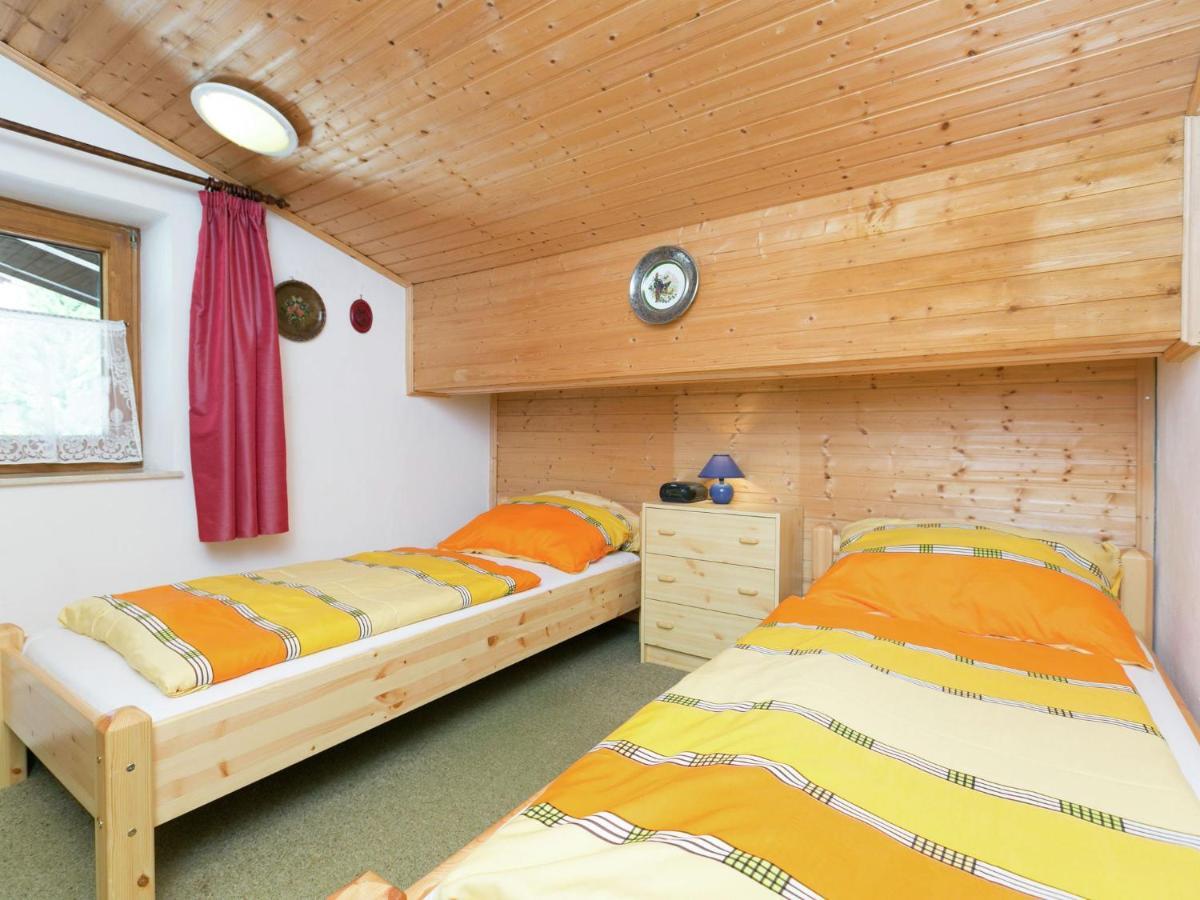 Apartment In Salzburgerland Near The Ski Area Viehhofen Exteriör bild