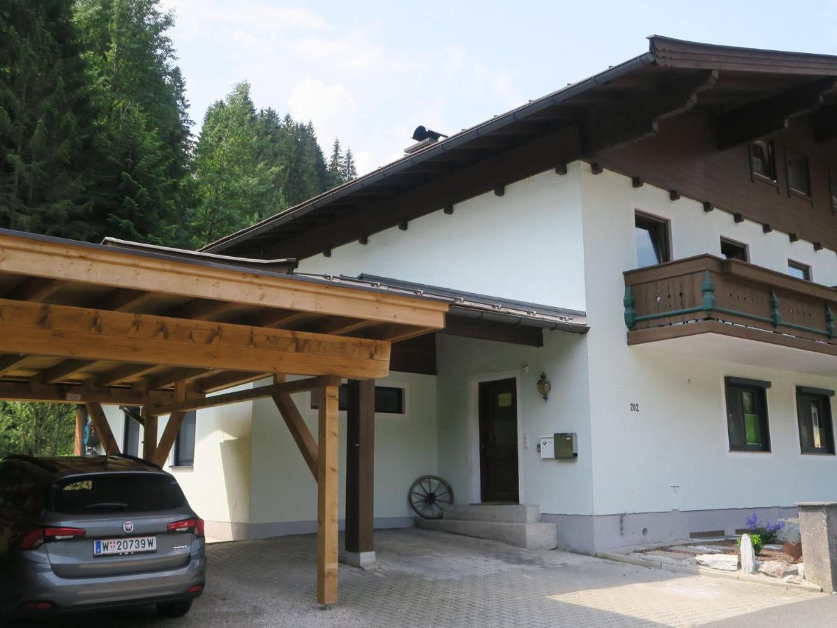 Apartment In Salzburgerland Near The Ski Area Viehhofen Exteriör bild