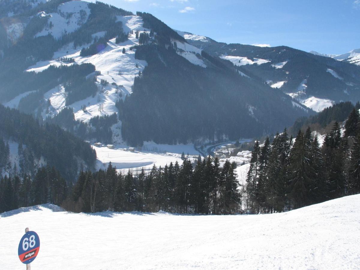 Apartment In Salzburgerland Near The Ski Area Viehhofen Exteriör bild