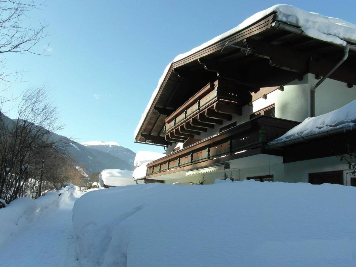 Apartment In Salzburgerland Near The Ski Area Viehhofen Exteriör bild