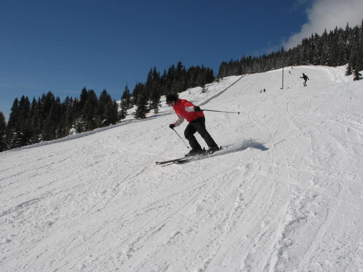 Apartment In Salzburgerland Near The Ski Area Viehhofen Exteriör bild